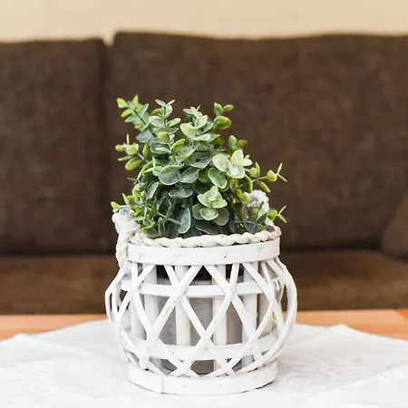 Seekieker - Ebbe Apartmán Esens